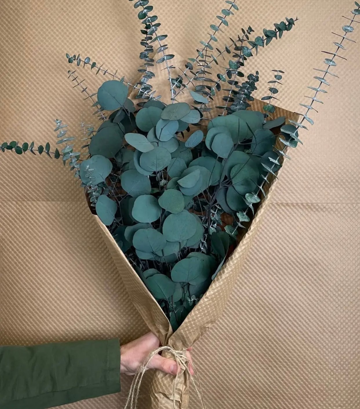 Preserved Eucalyptus Bunch